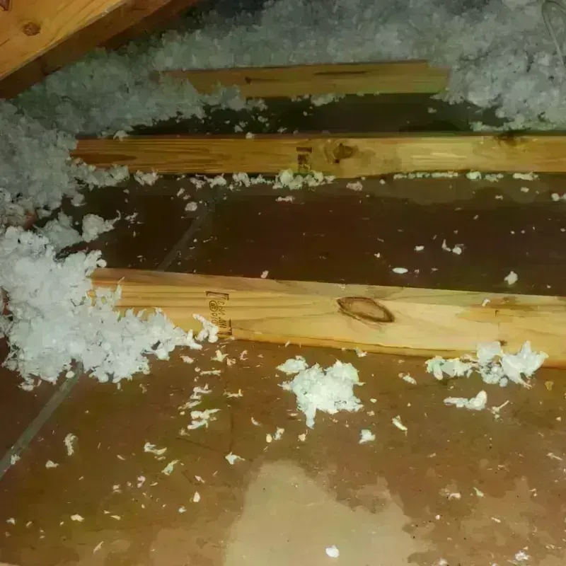 Attic Water Damage in Woodstock, NH