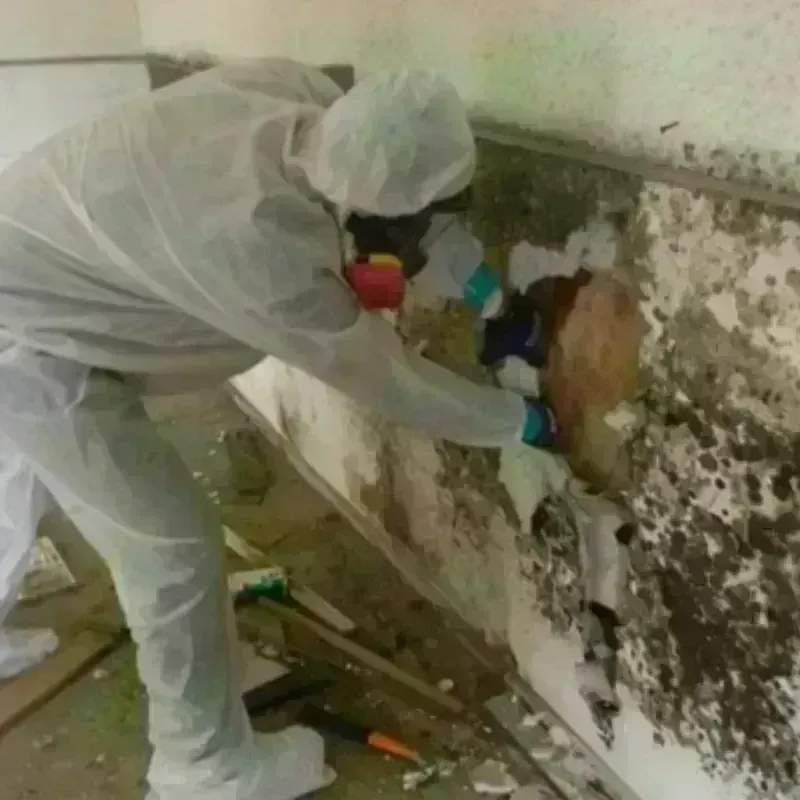 Mold Remediation and Removal in Woodstock, NH